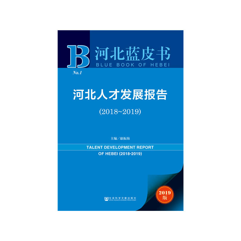 ӱ{(ln)Ƥ(sh)ӱ˲Űl(f)չ(bo)棨2018~2019