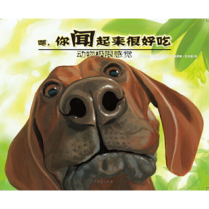O޸X-ܺó