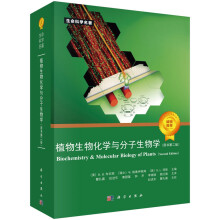 ֲﻯW(xu)cW(xu)ԭ(sh)ڶ棩
