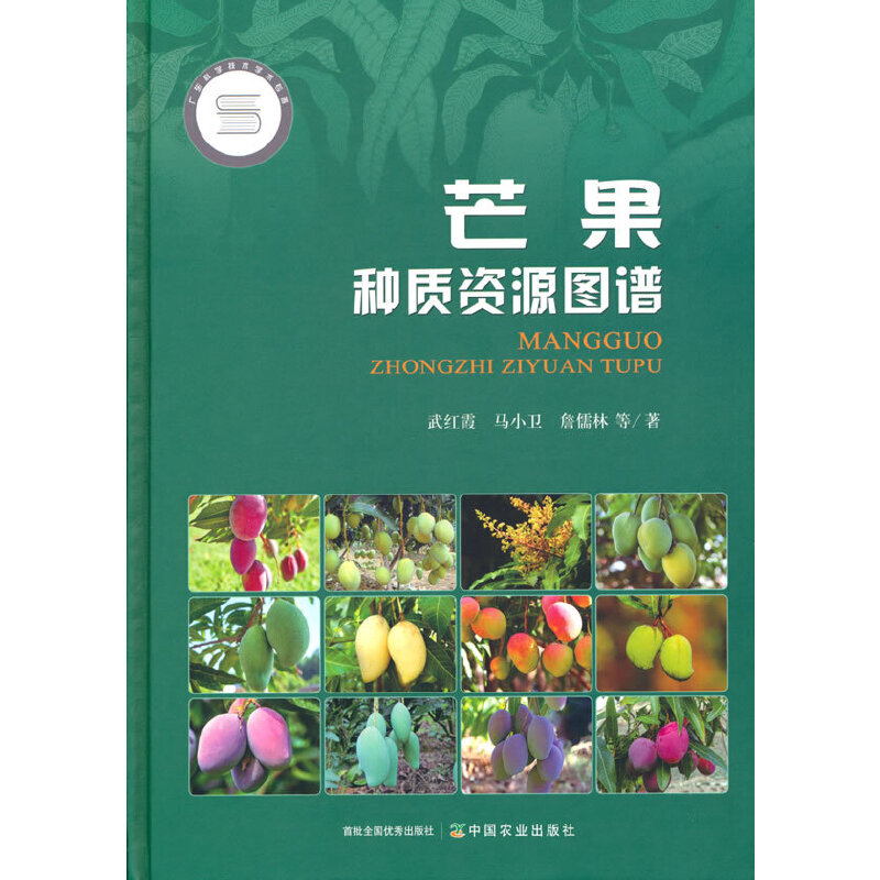 âN|(zh)YԴDVV|ƌWgWgĿYY棩
