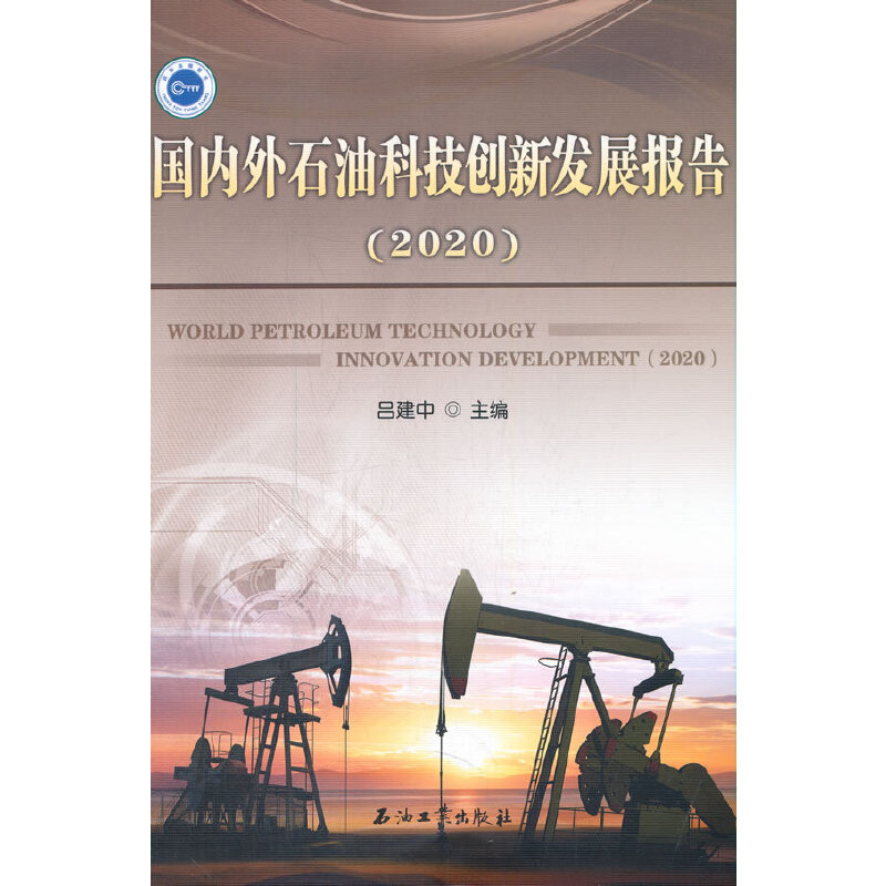 (gu)(ni)ʯͿƼ(chung)°l(f)չ(bo).2020