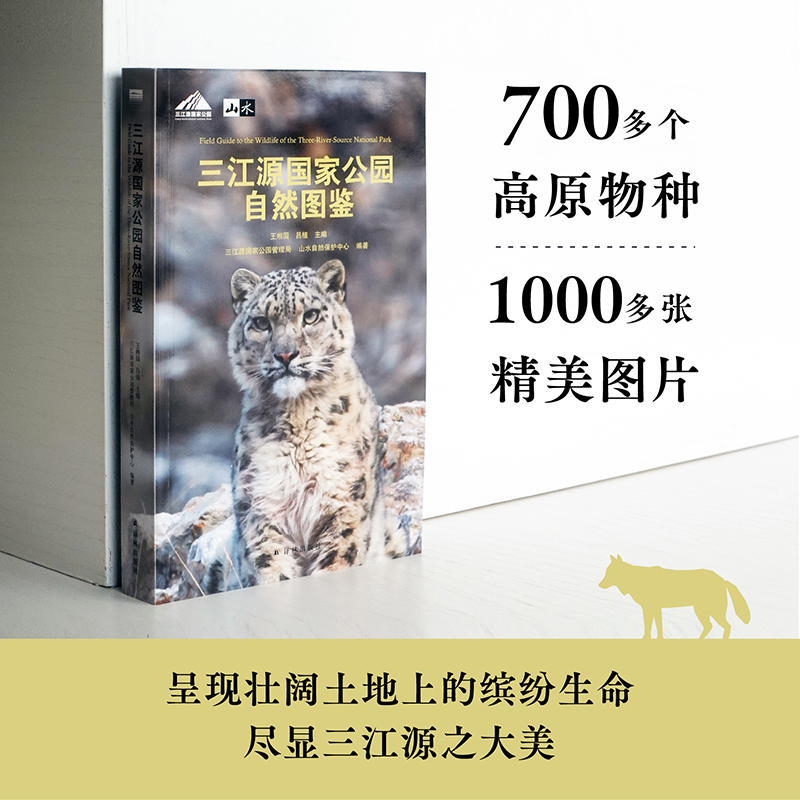 Դҹ@ȻDb 700(g)ԭN1000DƬʬF(xin)ϵ_H