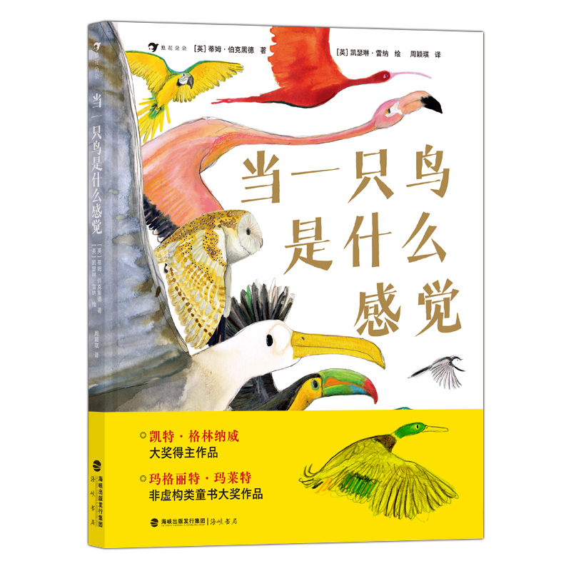 (dng)һֻBʲôX cHBW(xu)ҡ宋(jing)һ ̽B(d)صʽ