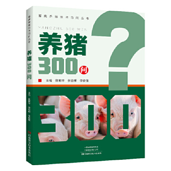  B(yng)i300