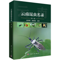 x䛣һ