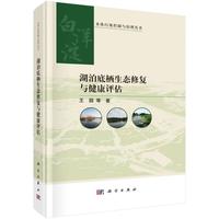 �����ח����B(t��i)�ޏ�(f��)�c�����u(p��ng)��