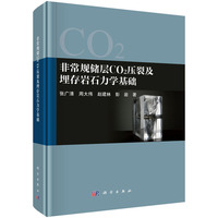 �ǳ�Ҏ(gu��)��(ch��)��CO2���Ѽ����rʯ���W(xu��)���A(ch��)