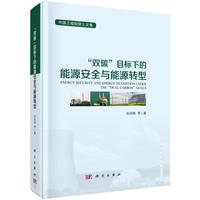 ���p̼��Ŀ���µ���Դ��ȫ�c��Դ�D(zhu��n)��