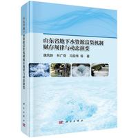 ɽ�|ʡ����ˮ�YԴ�����C(j��)���x��Ҏ(gu��)���c�ӑB(t��i)��׃