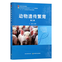 �����z������