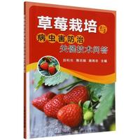 ��ݮ�����c���x�������P(gu��n)�I���g(sh��)����