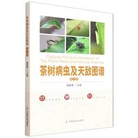 ��䲡�x���씳�D�V