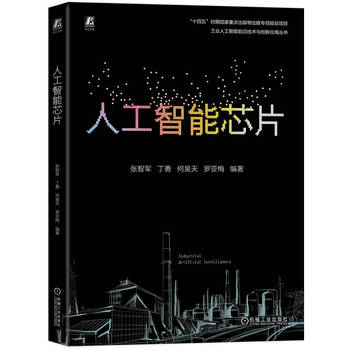  �˹�����оƬ