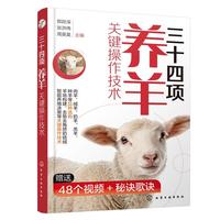 ��ʮ���(xi��ng)�B(y��ng)���P(gu��n)�I�������g(sh��)