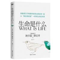 ������ʲô