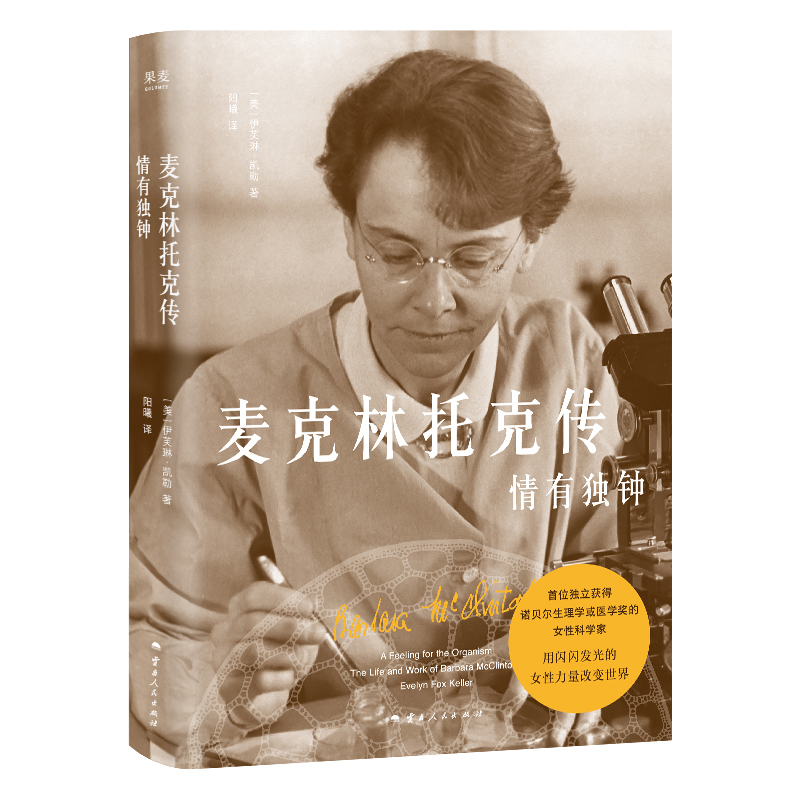 �������п˂������Ъ�(d��)�