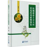 ���Ǹ���ʮ�f��ɽ��Ҋˎ��ֲ��D�b