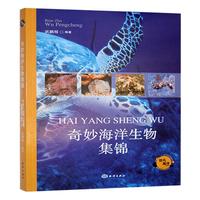 ��������Ｏ�\