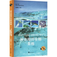 ���溣�����Ｏ�\