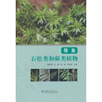  �A�|ʯ���ާ�ֲ��