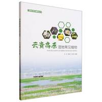 ���Bɽ���͹������B(t��i)ϵ�y(t��ng)�о�