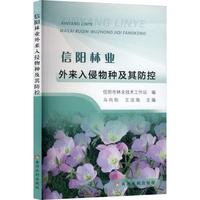 ����֘I(y��)���������N�������