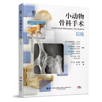 С��(d��ng)��ǿ����g(sh��)