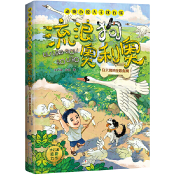 ���˹��W���W