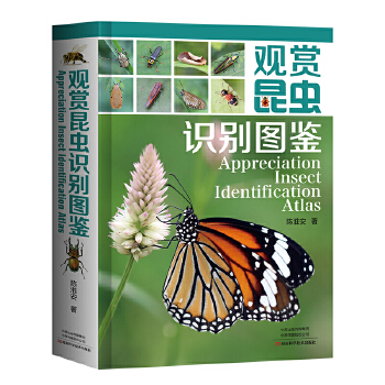 �^�p���x�R�e�D�b