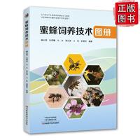 �۷���B(y��ng)���g(sh��)�D��(c��)