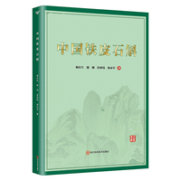 �Ї��FƤʯ��