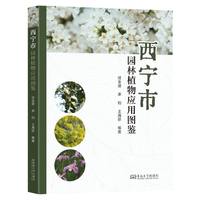 �����@��ֲ�(y��ng)�ÈD�b