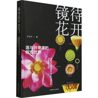 �R�����_  ɏ�c����ɏ��΢�^����