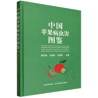 �Ї�(gu��)�O(p��ng)�����x(ch��ng)���D�b