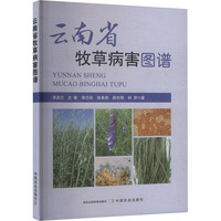 ����ʡ���ݲ����D�V