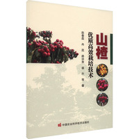 ɽ髃�(y��u)�|(zh��)��Ч���༼�g(sh��)