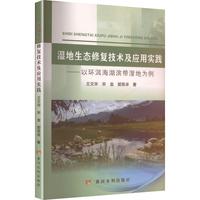 ������B(t��i)�ޏ�(f��)���g(sh��)����(y��ng)�Ì�(sh��)�`