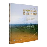 �F�ݿ������^�����R(sh��)�e�D��