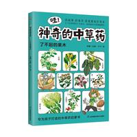 ����������в�ˎ