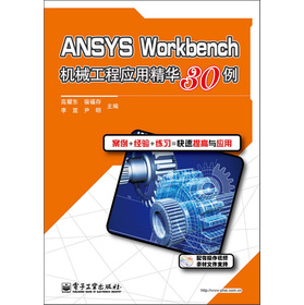 ANSYS WorkbenchC(j)е̑(yng)þA30DVDP1