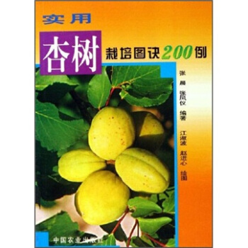 (sh)Ә(sh)DE200