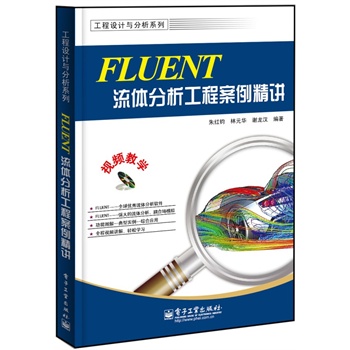FLUENTw̰v(DVDP(pn)1)