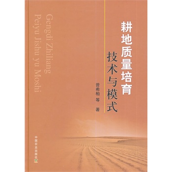 �����|(zh��)���������g(sh��)�cģʽ